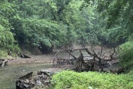 D.C. Water said it notified WSSC Water in mid-April that conditions in this section warranted high-priority emergency repairs and has been briefing the utility on its plans. 