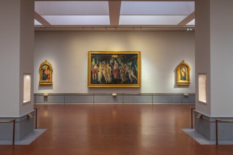 Uffizi Gallery unveils new arrangement for Botticelli’s ‘Birth of Venus’ and ‘Primavera’