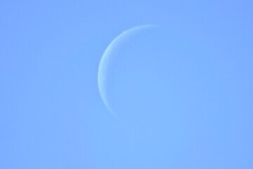 Venus is about to be occulted by the moon.