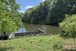 Pond across Great Seneca Highway
