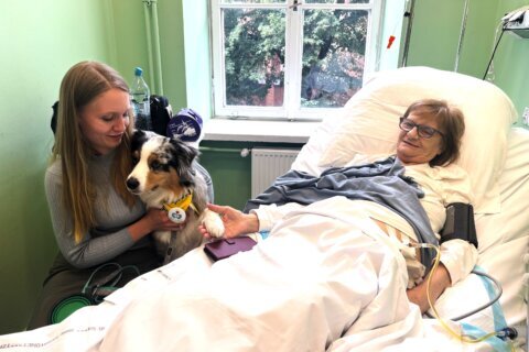 A cancer patient’s cats inspired a push for pets in hospice wards