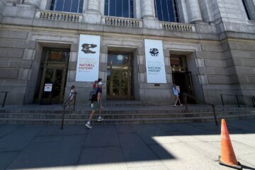 people outside smithonian museum of natural history
