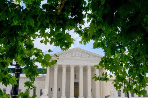 Royalties. Teaching gigs. A concert in Puerto Rico. Financial forms offer view inside Supreme Court