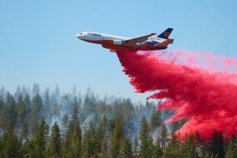 Eastern Washington wildfire forces evacuations and destroys homes