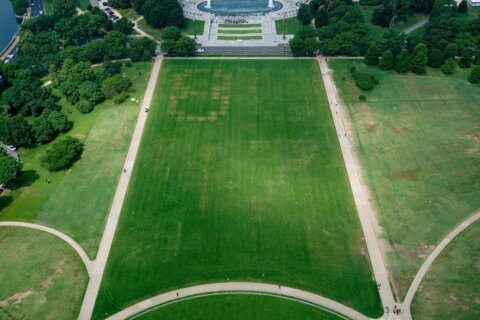 Huge ‘8647’ etched into grass on the National Mall, aerial images show