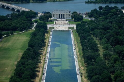 Trump claims vandals will force drainage of algae-plagued Reflecting Pool
