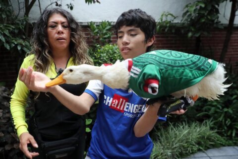 México reconoce a la familia Gómez la marca del viral ‘pato mundialista’