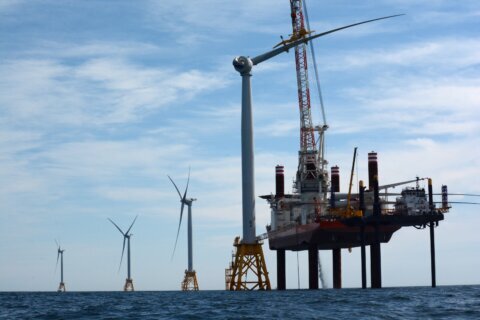 Gobierno de Trump frena proyectos de energía eólica marina al recomprar arrendamientos