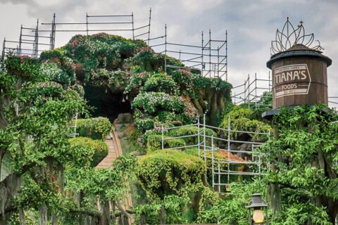 Niño cae 50 pies al bajarse antes de tiempo de una atracción de Disneyland