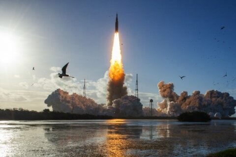 NASA revela nombres de los tripulantes de Artemis III; hay un astronauta de origen latino