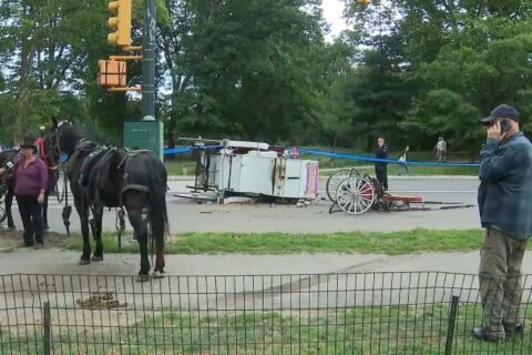 Muere un joven de 18 años tras accidente en un carruaje turístico de Central Park en NY