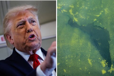 Trump atribuye deterioro del estanque del National Mall a vandalismo y anuncia arrestos