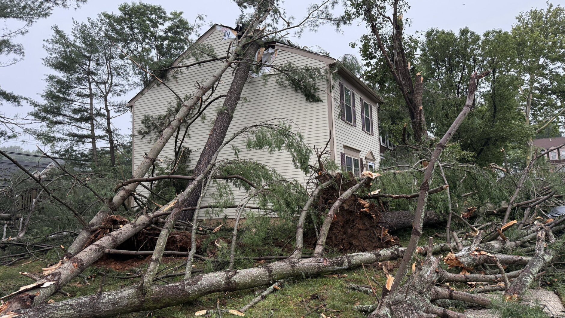 Downed trees into a house in Burke, Virginia