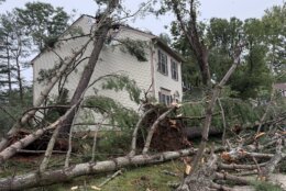 Downed trees into a house in Burke, Virginia
