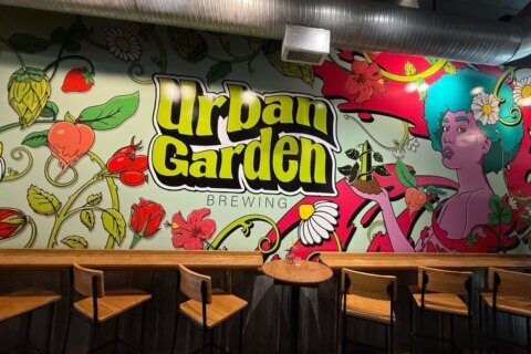 urban garden brewing mural inside business