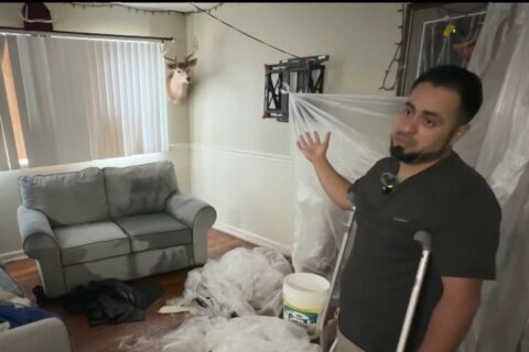 Familia salvadoreña resulta herida luego de que un árbol cayera sobre su vivienda en Hyattsville
