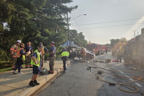 Driver pleads guilty in crash that killed 85-year-old woman in Silver Spring