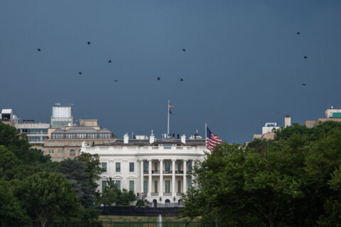 DC area under heat, air quality and severe weather alerts as storms approach