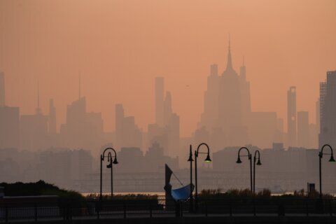 Uncertainty clouds the forecast on whether wildfire smoke will affect the World Cup final