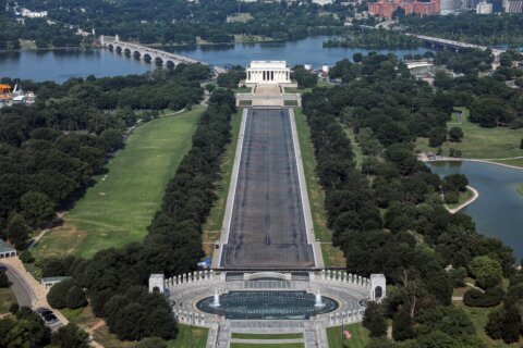 Drained Reflecting Pool reveals Trump’s ‘American flag blue’ liner is now closer to gray