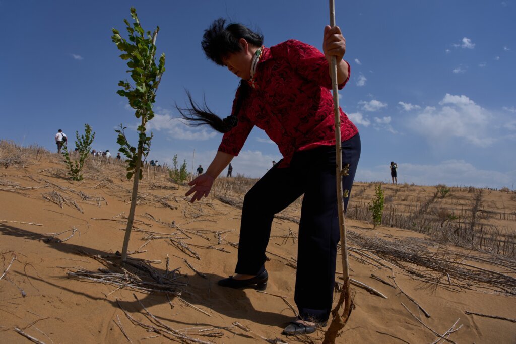 China’s ‘Green Great Wall’ tames desert growth, but scientists warn the fight is not over
