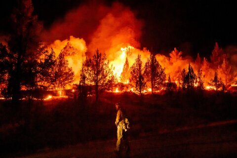 Wildfires are more extreme in Europe and North America, but global burning is oddly decreasing