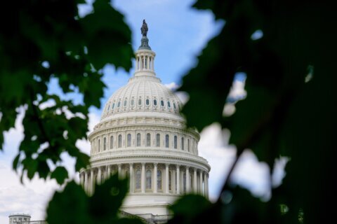 Georgia teen pleads guilty to gun charge for running onto Capitol grounds with loaded shotgun