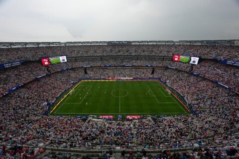FIFA selling the field to be used for the World Cup final in $450 pieces
