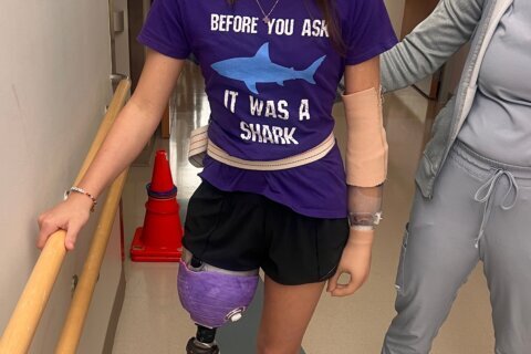 Shark attack on Alabama teen inspires the start of a national alert system