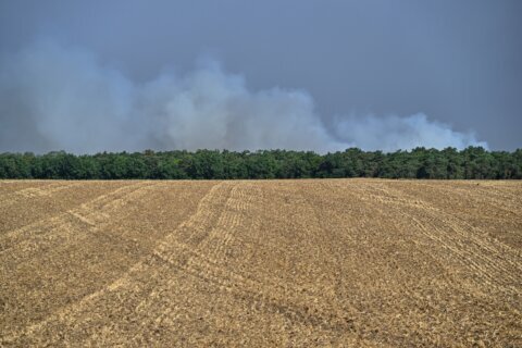 Fire in Fontainebleau forest near Paris triggers evacuations; 10 still missing in Spanish wildfire