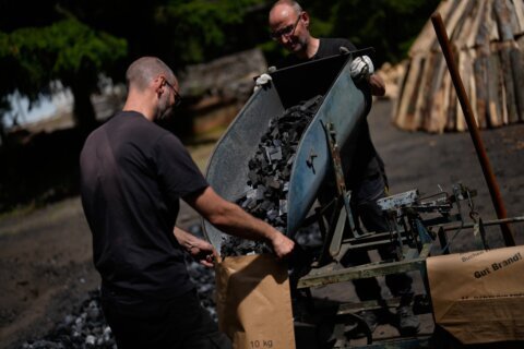 In a German forest, 2 brothers keep the ancient tradition of charcoal burning alive