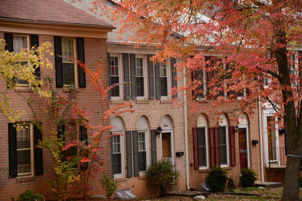 Fairfax County looks to cut red tape for in-law, au pair suites