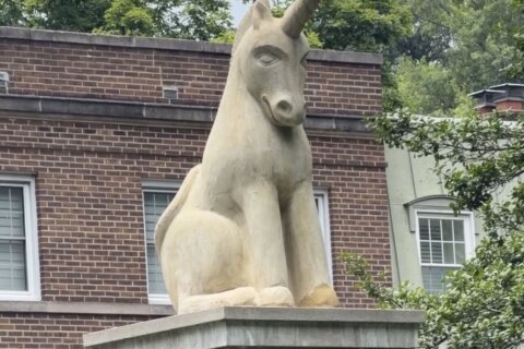 Today's episode of "Matt About Town" takes us to Unicorn Lane NW (yes that's an actual street!) to learn more about two markers that are the only ones of their kind in the District; unicorns both literally and figuratively speaking.