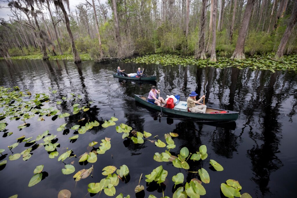 Georgia’s Okefenokee Swamp among new additions to join UNESCO’s World Heritage List