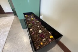 A tray of composted human flesh, outside what's known as a "vessel" in the human-composting space.