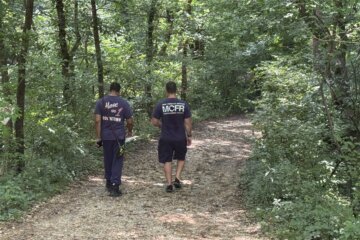 MCFR conducting a search in the woods