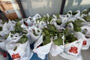 School’s out, hunger’s up: nonprofit steps in to feed kids