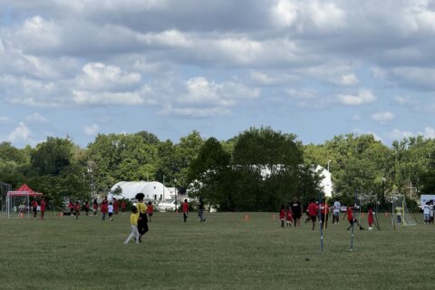 DC-area nonprofits come together for giant field day to learn lessons