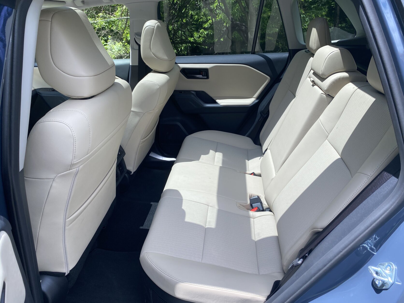 a car's back row of seating seen from inside