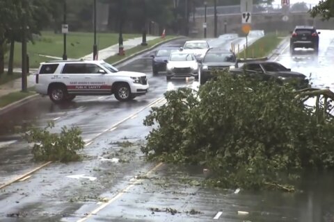 Philadelphia area digs out from damage left by a severe series of microburst storms