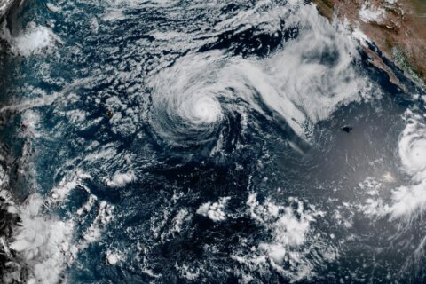 Genevieve becomes a major Pacific hurricane off Mexico, but no direct threat to land is forecast