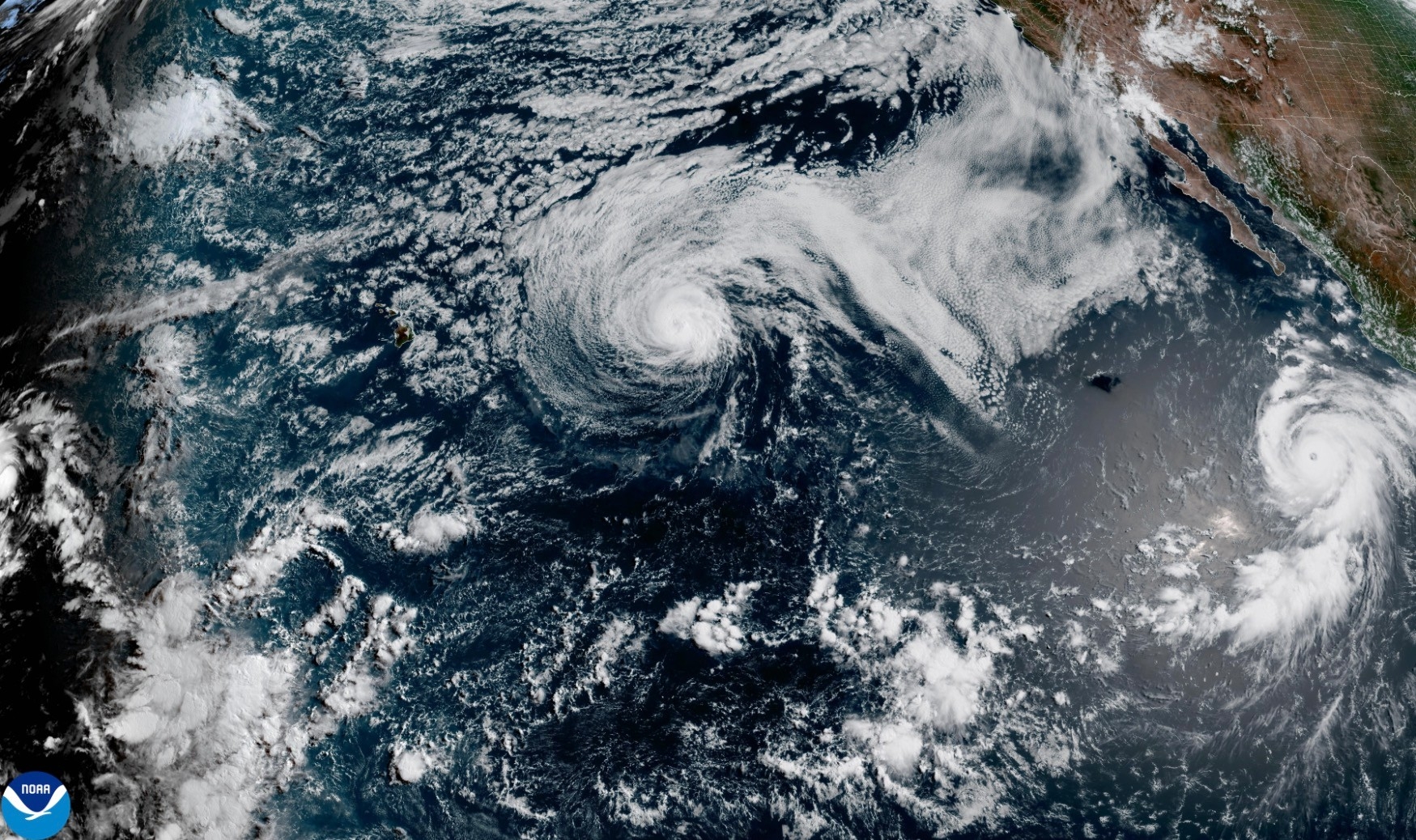hurricane genevieve