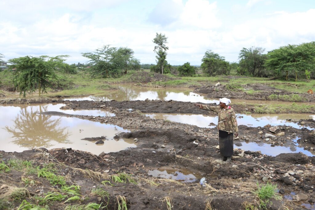 Conflicts and energy shocks threaten progress against global hunger, UN agency head warns
