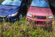 cars parked on grass