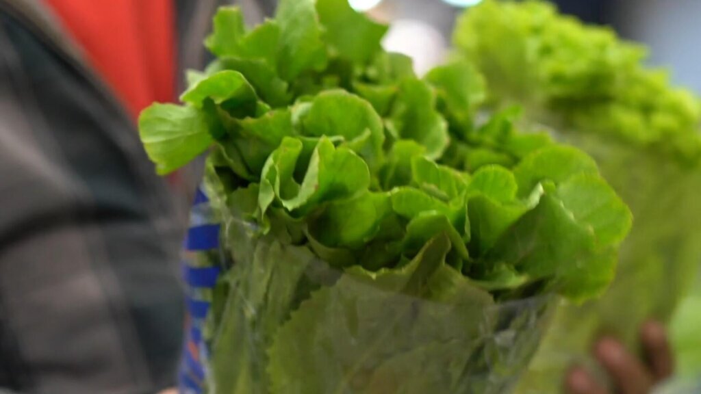 Taylor Farms lettuce sample was false positive for cyclospora, FDA says