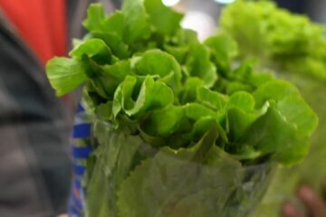 Authorities have traced the cyclosporiasis outbreak to Mexican-grown lettuce delivered to Taco Bell by Taylor Farms. Jonathan Vigliotti reports.