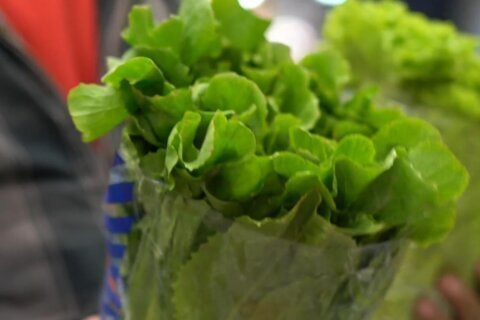 Taylor Farms lettuce sample was false positive for cyclospora, FDA says