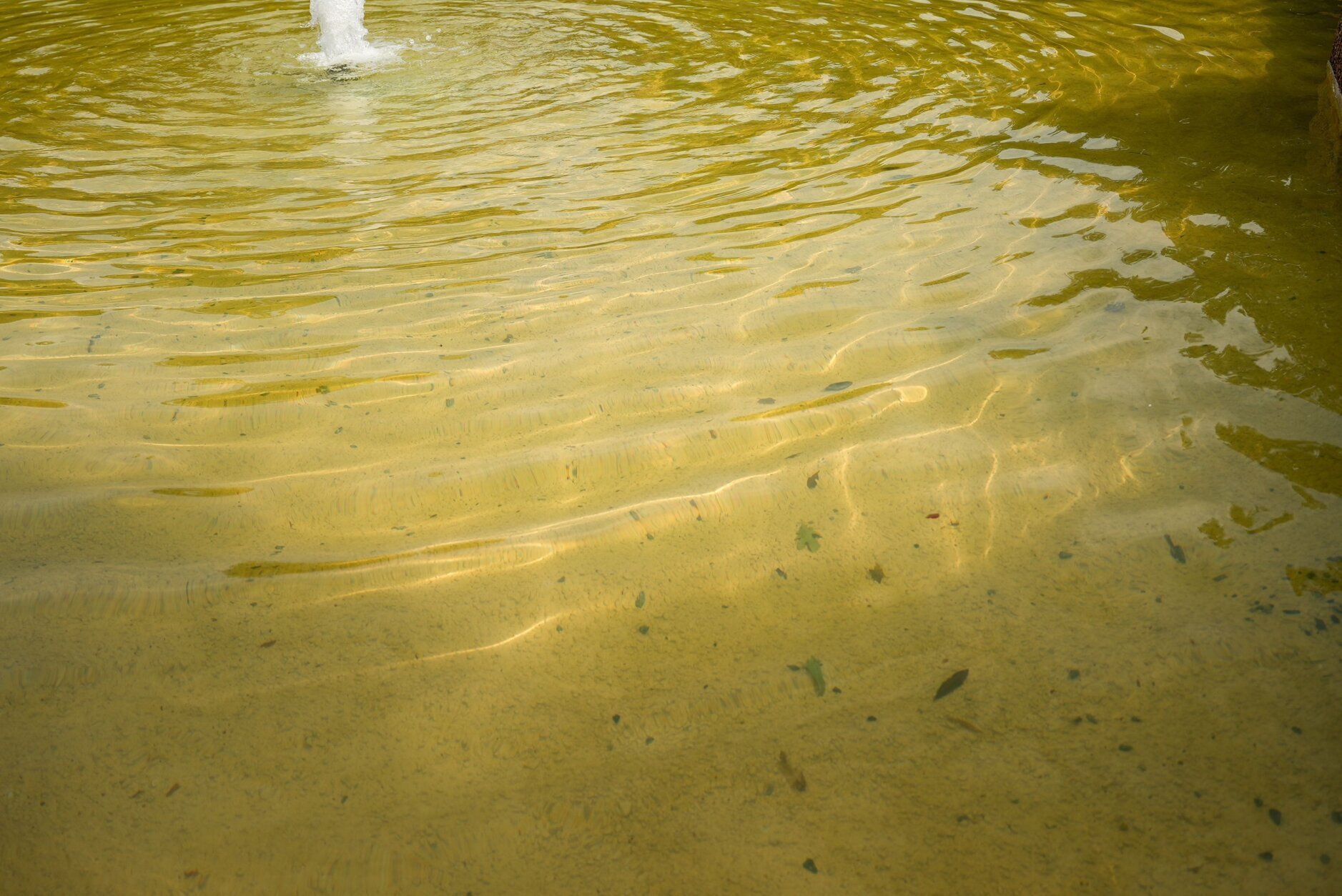 Meridian Hill Park fountain waters in Washington, DC, on July 11.