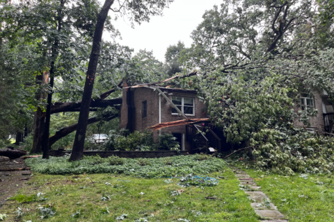 Serious storm damage in Knoxville, Maryland.