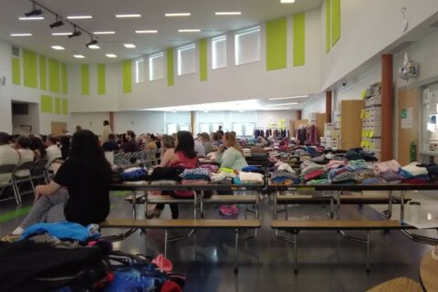 Camp Greentree offers Montgomery Co. students mental health support alongside summer fun